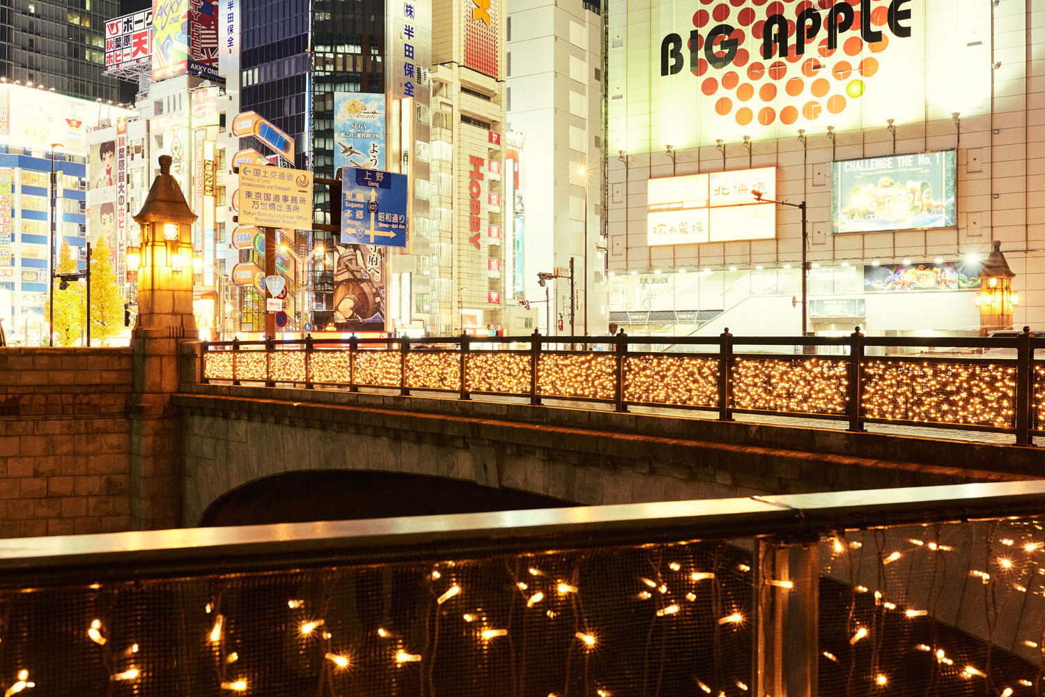 Tokyo Light Show Kyu Maebashi