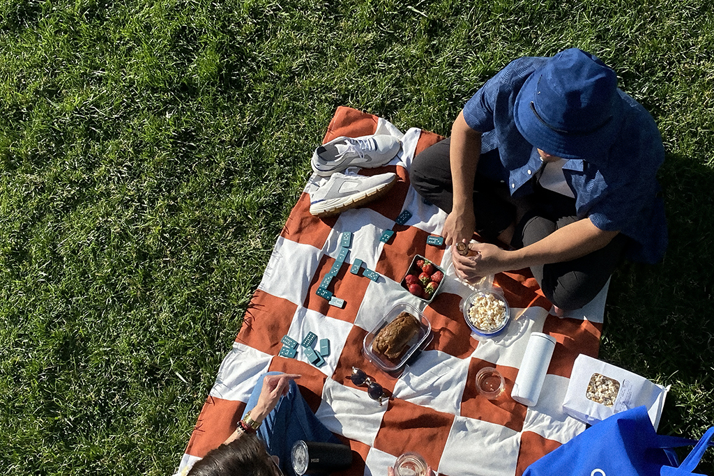 One Nice Summer, Zero Waste Picnic in the City, at Domino Park