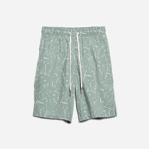 printed drawstring swim shorts Brighton Swim Short
